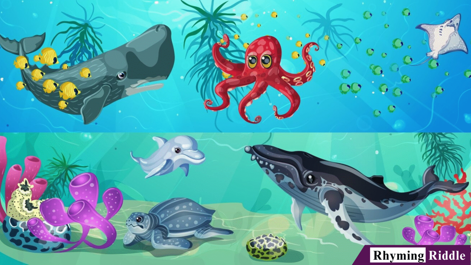 Ocean Creature Riddles 250+ Best