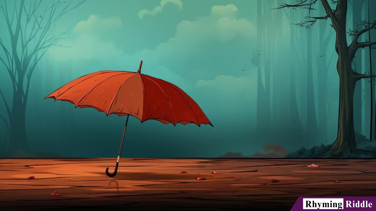 250+ Umbrella Riddles to Make Any Rainy Day Fun